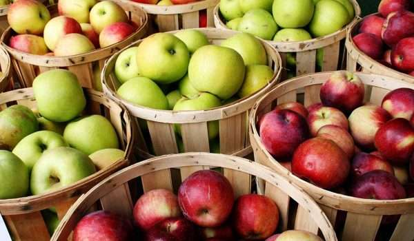 التفاح - تعرف على فوائد التفاح