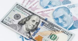 التركية 1 310x165 - 100 دولار أمريكي كم يساوي ليرة تركية اليوم السبت 22-1-2022 ؟