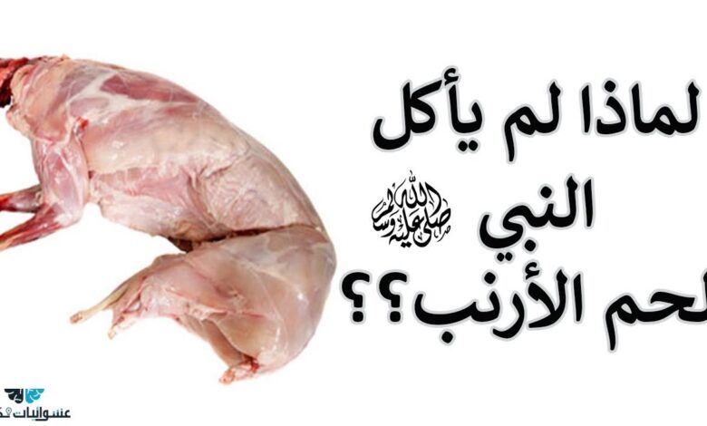 مفاجأة .. هل تعلم ما هي فوائد لحم الأرنب ولماذا لم يأكل منه الرسول صلى الله عليه وسلم maxresdefault 18 780x470 1 - مفاجأة .. هل تعلم ما هي فوائد لحم الأرنب ولماذا لم يأكل منه الرسول صلى الله عليه وسلم