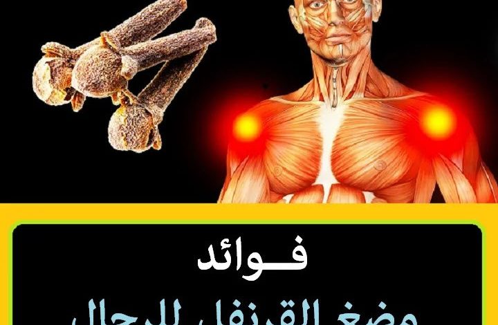 استخدم القرنفل لتسعد شريكة حياتك و يجعلك بقوة 24 حصان استخدامه فقط قبل العـ. ـلاقة الحـ.ـمـ .ـيمة بعشر دقائق وسوف تلاحظ الفرق photo ٢٠٢٢ ١٢ ١١ ٠١ ١٦ ٣٠ 720x470 - استخدم القرنفل لتسعد شريكة حياتك و يجعلك بقوة 24 حصان استخدامه فقط قبل العـ. ـلاقة الحـ.ـمـ .ـيمة بعشر دقائق وسوف تلاحظ الفرق