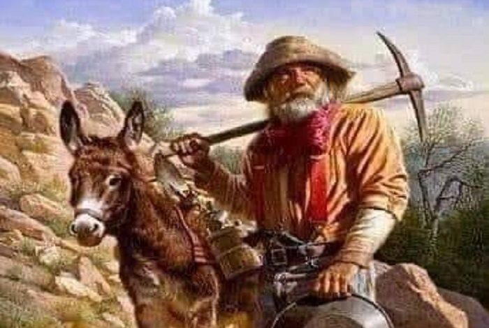 قصة فلاح صيني الذي فقد حصانه الوحيد 328042121 898463974740449 1287929459775077414 n 700x470 - قصة فلاح صيني الذي فقد حصانه الوحيد