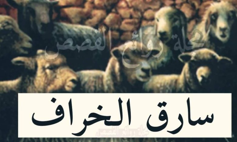 قصة س . خ سارق الخراف 275007119 5414466865249271 6347524969204777902 n 780x470 - قصة س . خ سارق الخراف