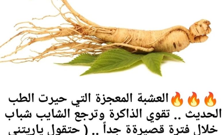 العشبة المعجزة التي حيرت الطب الحديث .. تقوي الذاكرة وترجع الشايب شباب خلال فترة ة جداً .. ( حتقول ياريتني عرفتها قبل 320755409 692280612400410 9053443747425730718 n 780x470 - العشبة المعجزة التي حيرت الطب الحديث .. تقوي الذاكرة وترجع الشايب شباب خلال فترة ة جداً .. ( حتقول ياريتني عرفتها قبل