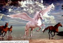 337232607 1380252459399747 8459158549292771570 n 220x150 - قصة عروس كشفت سر خطير لعريسها ليلة الدخلة وكان موقفه مفاجأ … تابع القصة