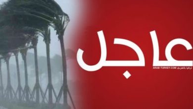 2 520x290 1 560x315 1 1 390x220 - عاجل : بيان هام من الأرصاد الجوية لكل المصريين عاصفة التنين المميتة والقادمة في هذا الوقت !!