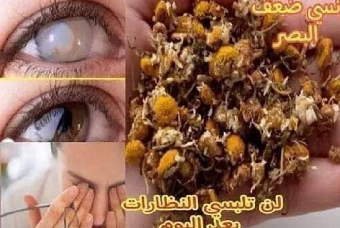 حبة جعلها الله علاج لضعف النظر كوب واحد قبل النوم وإنسي مشاكل العين 338401925 900463597927956 3291756888111611784 n 700x470 - حبة جعلها الله علاج لضعف النظر كوب واحد قبل النوم وإنسي مشاكل العين