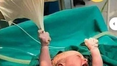 274576180 127868169796783 2548218284715442115 n 390x220 - قصة مستحيل تكون حامل يا دكتور دي معاقة ذهنيا