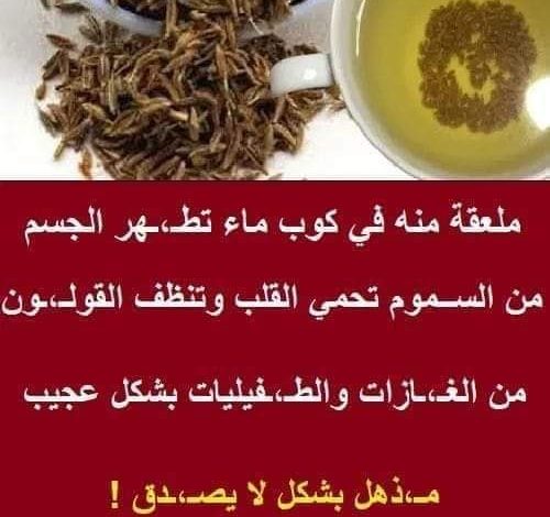 عشبة جبارة متوفرة بقوة تخلصك من الغازات والامساك والام القولون في غضون دقـ،ـائق .. تعرف عليها 290896607 5930715776955303 5369664566201192156 n 500x470 - عشبة جبارة متوفرة بقوة تخلصك من الغازات والامساك والام القولون في غضون دقـ،ـائق .. تعرف عليها