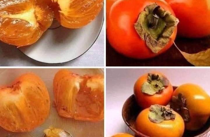 ما الذي يحدث لجسمك عند تناول الكاكا فاكهة الأساطير 353053929 255228983790693 1915244383975960609 n 720x470 - ما الذي يحدث لجسمك عند تناول الكاكا فاكهة الأساطير