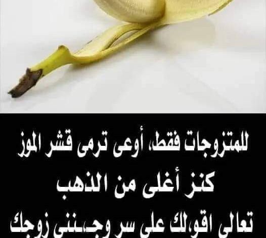 للمـتز,و.ـجات فقـ.ـط/ اوعــى ترمى قشــور الموز كنز اغلى من الذهب للمـ.،ـتز،و.جات تعالى اقو،لك على سر وجـ،ـننى زوجك 353788579 3455186408081361 8071282281742437900 n 526x470 - للمـتز,و.ـجات فقـ.ـط/ اوعــى ترمى قشــور الموز كنز اغلى من الذهب للمـ.،ـتز،و.جات تعالى اقو،لك على سر وجـ،ـننى زوجك