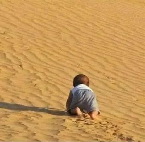 قصة طفل عايش ف الصحراء وحده 370476057 117200128139787 3371162790553921622 n 480x470 - قصة طفل عايش ف الصحراء وحده