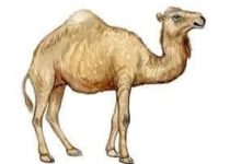 445 220x150 - غلطة فعلها الزوج .. قصة عروس مع صديق زوجها السافل وكيف تخلص منه براثنه في اللحظة الاخيرة