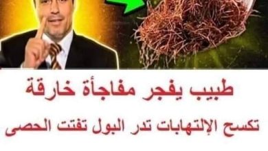 321914471 656764836242837 3942735555924633187 n 390x220 - طبيب يفجر مفاجأة خارقة و تكسح الإلتهابات تدر البول تفتت الحصى تنقي الدم تضبط السكر والضغط والكوليسترول